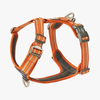 Dog Copenhagen Comfort Walk Air™ - Orange Sun Harness