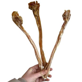 Ostrich Tendons