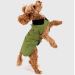 dryrobe® Dog Black Forest Green/Black