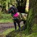 dryrobe® Dog Camo/Pink