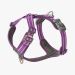 Dog Copenhagen Comfort Walk Air™ - Purple Passion Harness 