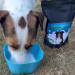 Capra Canine Dried Goats Milk