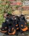 Howl-oween Boo Dog Treat Bags 